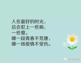 感悟人生的精辟句子,感悟生活的智慧之光