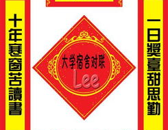 有趣对联大全经典,对联艺术大观