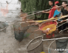 搞笑gif,搞笑GIF集锦，笑出腹肌的趣味瞬间