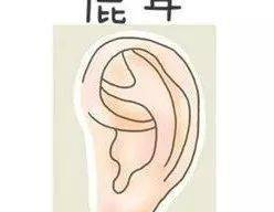24种阴型照片外貌图,从青春前期到老年期的男性生殖生理演变
