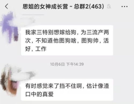 19个女人打一最佳答案,共筑辉煌篇章